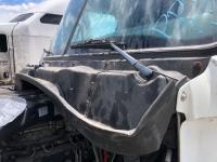 2008-2020 Freightliner CASCADIA BLACK WIPER Cowl - Used