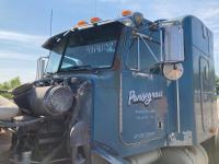 1996-1998 Peterbilt 385 Cab Assembly - Used
