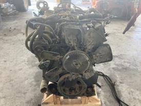 1999 International DT466E Engine Assembly, 190HP - Used