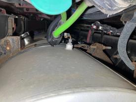 International PROSTAR 26(in) Diameter Fuel Tank Strap - Used | Width: 2.0(in)