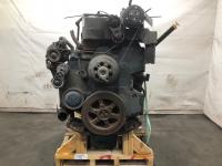 2004 International DT466E Engine Assembly, 250HP - Core