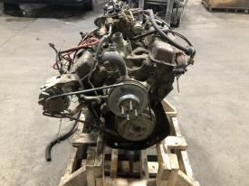 GM 350 Engine Assembly - 10243880