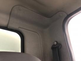 International DURASTAR (4300) Left/Driver Cab Trim/Panel