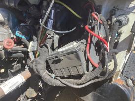 International 4300 Left/Driver Pigtail, Wiring Harness - Used