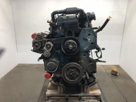 2008 International DT466E Engine Assembly, 210HP - Core