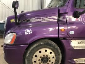 2008-2020 Freightliner CASCADIA Purple Hood - Used