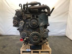 2006 International DT466E Engine Assembly, 245HP - Core