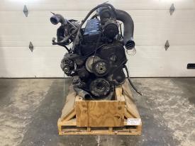 2003 Cummins ISC Engine Assembly, 260HP - Core