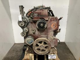 1999 International DT466E Engine Assembly, 232.5HP - Core