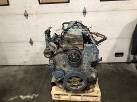1999 International DT466E Engine Assembly, 230HP - Core