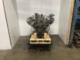 2001 International T444E Engine Assembly, 195HP - Used