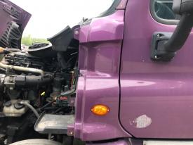 2008-2020 Freightliner CASCADIA Purple Left/Driver Cab Cowl - Used