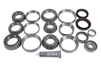 Eaton DS402 Differential Bearing Kit