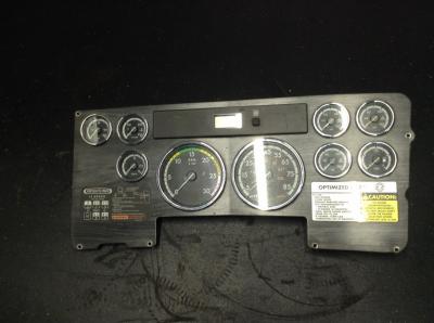 Freightliner Columbia 120 Instrument Cluster - A22-59222-300