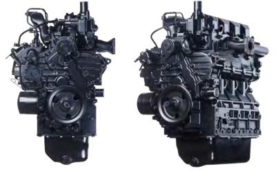 Kubota V2003 Engine Assembly
