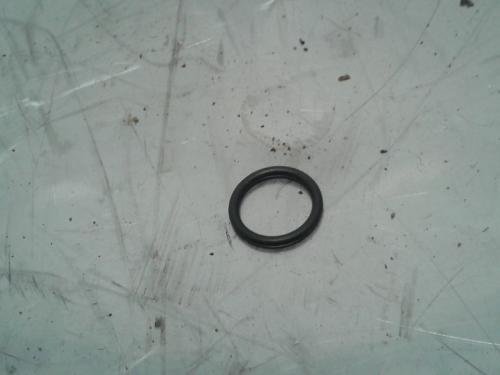 International DT466E O Ring (All)