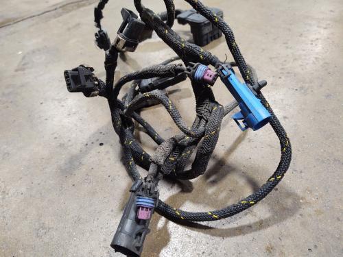2009 Eaton Mid Range  EH-8E306A-CD Wire Harness: P/N 4306086